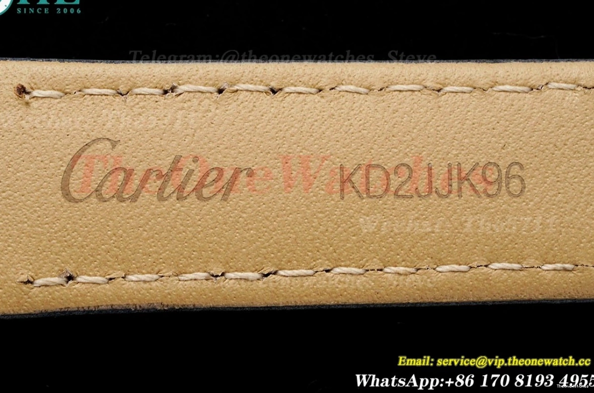 Quartz Grey Dumont Santos SS Dial AF LE Silver 0116